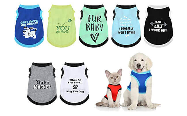 Items You Can Make With A Heat Press - pet-clothes